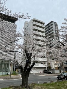 藤和緑大橋コープ